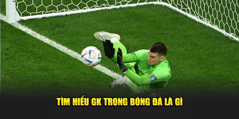 Thủ môn trong bóng đá là gì? Hiểu về vai trò và tầm quan trọng của nó