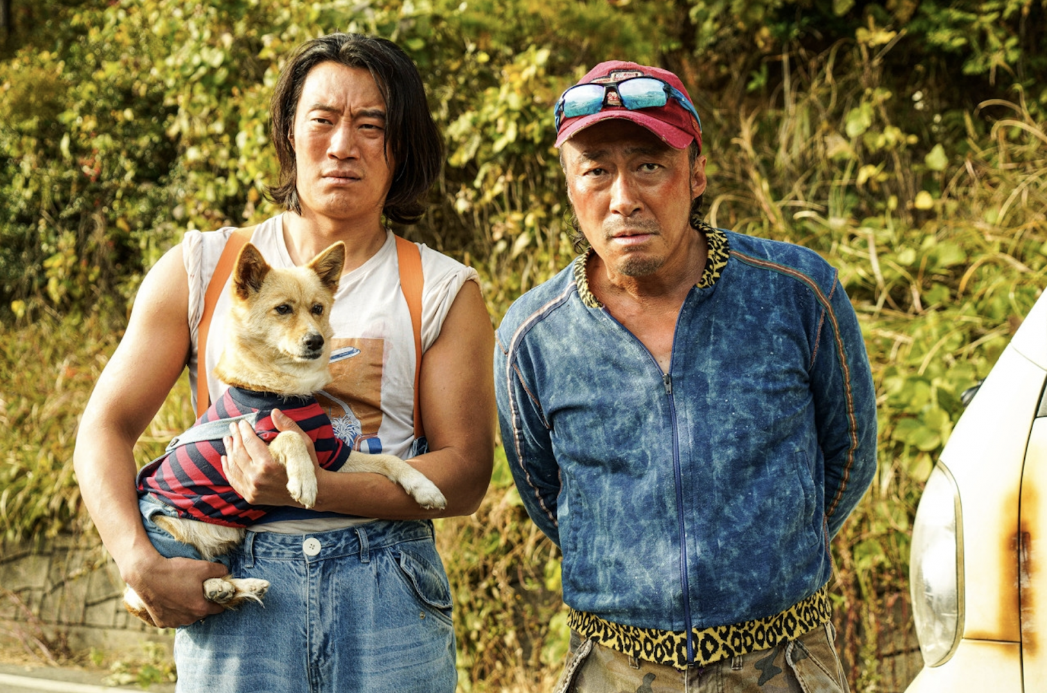 Top 27 phim hài lẻ Hàn Quốc hay nhất khiến bạn cười bể bụng